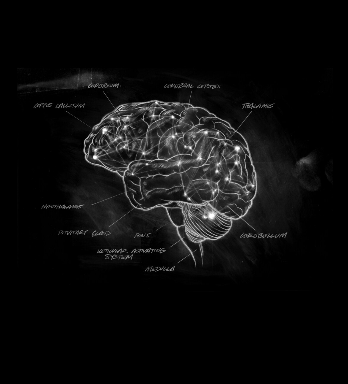 Illustration of the brain activity.