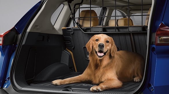 2023 Nissan Rogue with hatch up and dog sitting in cargo area.