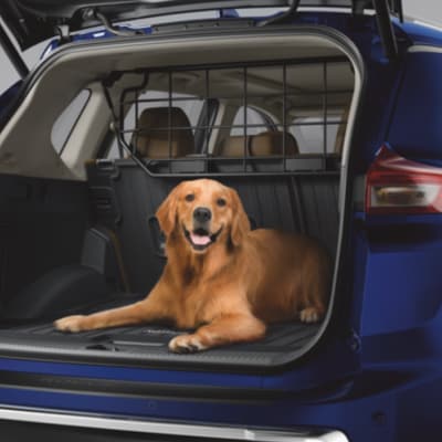 2024 Nissan Rogue with a dog sitting in the rear end