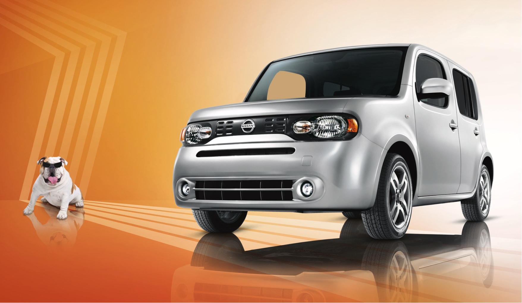 Front view of Nissan Cube design on orange background next to pitbull wearing sunglasses